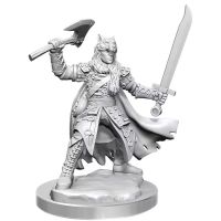 Mezzelfo Ranger Maschio - Miniatura D&D Frameworks W02A