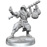 Monaco Umano - Miniatura D&D Frameworks W01
