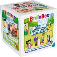 BrainBox - Animali Domestici