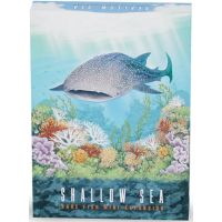 Shallow Sea - Rare Fish Mini-Expansion