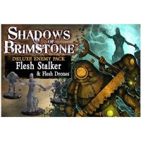 Shadows of Brimstone - Flesh Stalker and Flesh Drones Danneggiato (L1)