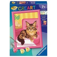 CreArt Serie E - Gattino Maine Coon