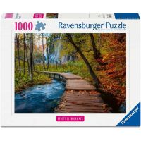 Puzzle 1000 pz - Autumnal Wood Trail
