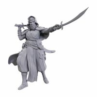 Pathfinder - Deep Cuts Miniatures - W23 Desert Giant