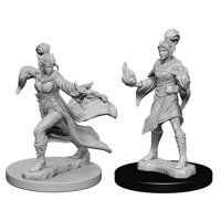 Pathfinder - Deep Cuts Miniatures - Elf Female Sorcerer