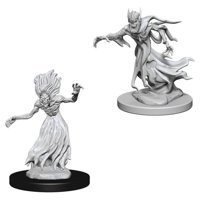 Nolzur's Marvelous Miniatures - Wraith & Specter