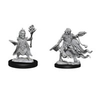 Pathfinder - Deep Cuts Miniatures - Evil Wizards