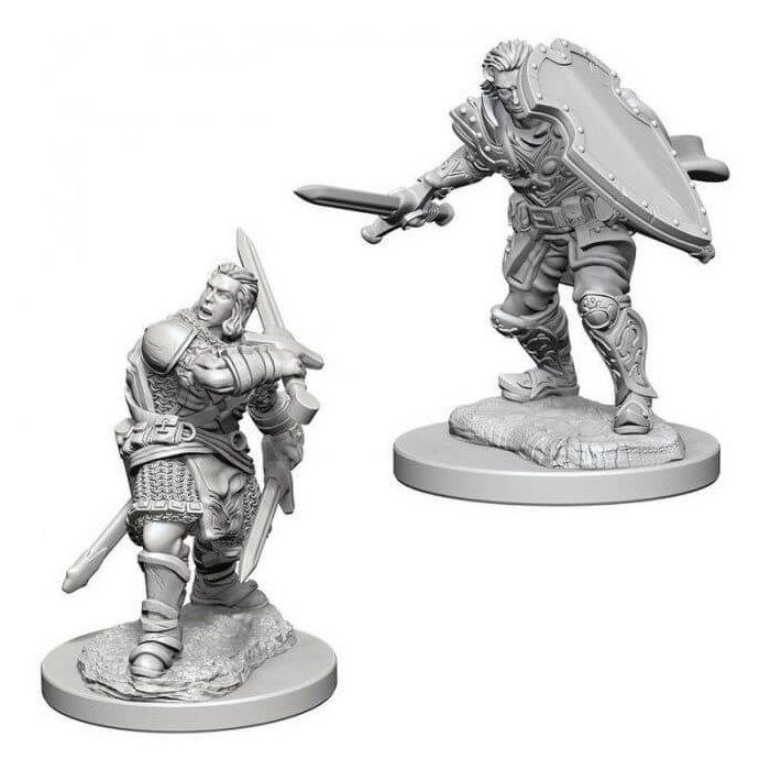 Copertina di D&D: Nolzur's Marvelous Miniatures - Human Male Paladin Copertina di D&D: Nolzur's Marvelous Miniatures - Human Male Paladin