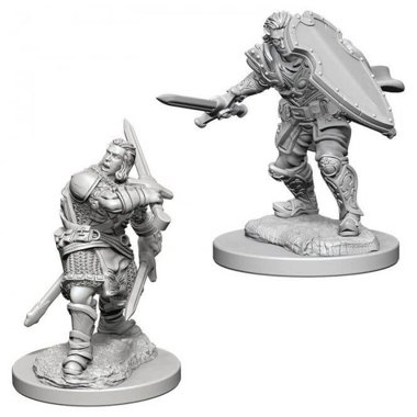 Copertina di D&D: Nolzur's Marvelous Miniatures - Human Male Paladin Copertina di D&D: Nolzur's Marvelous Miniatures - Human Male Paladin