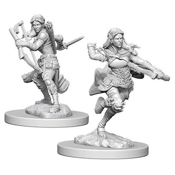 Copertina di D&D: Nolzur's Marvelous Miniatures - Air Genasi Female Rogue Copertina di D&D: Nolzur's Marvelous Miniatures - Air Genasi Female Rogue