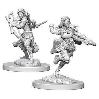 Copertina di D&D: Nolzur's Marvelous Miniatures - Air Genasi Female Rogue Copertina di D&D: Nolzur's Marvelous Miniatures - Air Genasi Female Rogue
