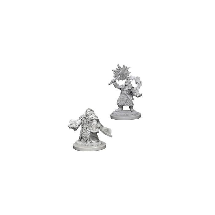 Copertina di D&D: Nolzur's Marvelous Miniatures - Dwarf Female Cleric Copertina di D&D: Nolzur's Marvelous Miniatures - Dwarf Female Cleric