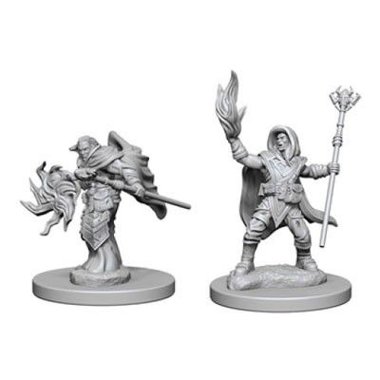 Copertina di D&D: Nolzur's Marvelous Miniatures - Elf Male Wizard Copertina di D&D: Nolzur's Marvelous Miniatures - Elf Male Wizard