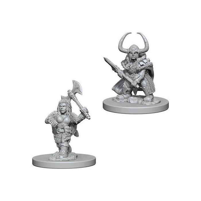 Copertina di D&D: Nolzur's Marvelous Miniatures - Dwarf Female Barbarian Copertina di D&D: Nolzur's Marvelous Miniatures - Dwarf Female Barbarian