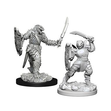 Nolzur's Marvelous Miniatures - Dragonborn Female Paladin