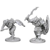 Nolzur's Marvelous Miniatures - Dragonborn Male Fighter