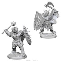 Nolzur's Marvelous Miniatures - Dragonborn Male Paladin