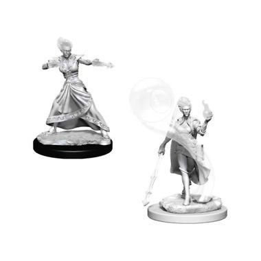 Copertina di D&D: Nolzur's Marvelous Miniatures - Fire Genasi Female Wizard Copertina di D&D: Nolzur's Marvelous Miniatures - Fire Genasi Female Wizard