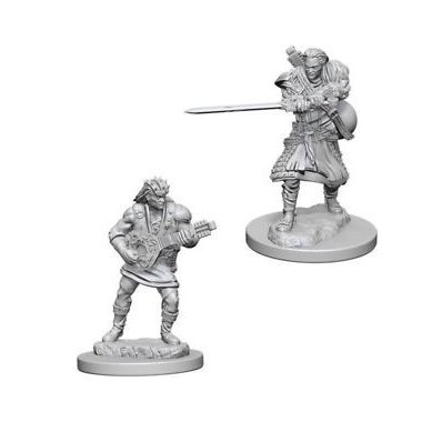 Copertina di D&D: Nolzur's Marvelous Miniatures - Human Male Bard Copertina di D&D: Nolzur's Marvelous Miniatures - Human Male Bard