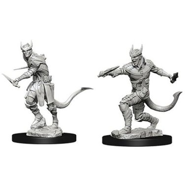 Copertina di D&D: Nolzur's Marvelous Miniatures - Tiefling Male Rogue Copertina di D&D: Nolzur's Marvelous Miniatures - Tiefling Male Rogue