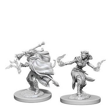Nolzur's Marvelous Miniatures - Tiefling Female Warlock