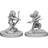 Pathfinder - Deep Cuts Miniatures - Gnome Female Rogue