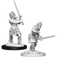 Pathfinder - Deep Cuts Miniatures - Human Male Barbarian