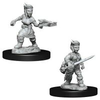 Pathfinder - Deep Cuts Miniatures - Halfling Female Rogue