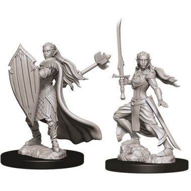 Copertina di D&D: Nolzur's Marvelous Miniatures - Elf Female Paladin Copertina di D&D: Nolzur's Marvelous Miniatures - Elf Female Paladin