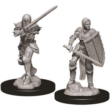 Copertina di D&D: Nolzur's Marvelous Miniatures - Human Female Fighter Copertina di D&D: Nolzur's Marvelous Miniatures - Human Female Fighter