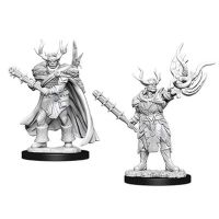 Pathfinder: Deep Cuts Miniatures - Half-Orc Male Druid