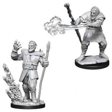 Copertina di D&D: Nolzur's Marvelous Miniatures - Firbolg Male Druid Copertina di D&D: Nolzur's Marvelous Miniatures - Firbolg Male Druid