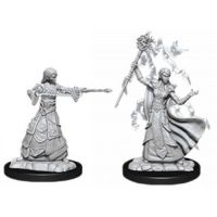 Nolzur's Marvelous Miniatures - Elf Female Wizard