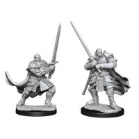 Nolzur's Marvelous Miniatures - Half-Orc Male Paladin