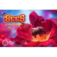 Bees - Il Reame Segreto