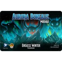 Endless Winter - Aurora Borealis