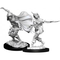 Pathfinder - Deep Cuts Miniatures - W14 Human Rogue Female
