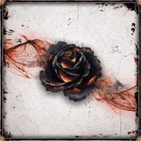Black Rose Wars Edizione Inglese Danneggiato (L1)