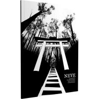 Yokai Hunters Society - Neve Piegato Danneggiato (M1)