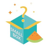 Mystery Box - Summer Limited Edition - Small Box