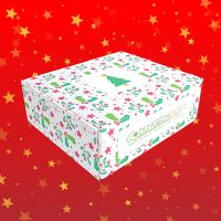 Mystery Box - Christmas 2024 Limited Edition