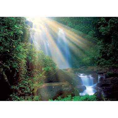 Copertina di Puzzle 1000 pz. Magic Forests: Waterfall Copertina di Puzzle 1000 pz. Magic Forests: Waterfall