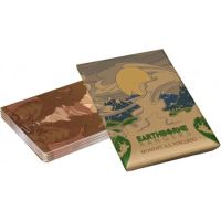 Earthborne Rangers - Momenti sul Percorso