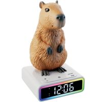 Rainy Days Capybara