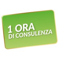 Consulenza B2B - 1h dedicata alle tue domande per la tua attività